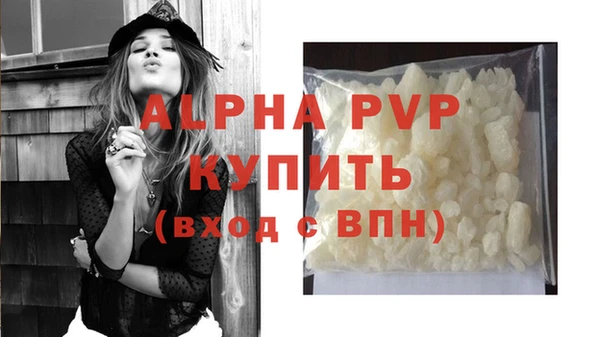 прущие крисы Бородино