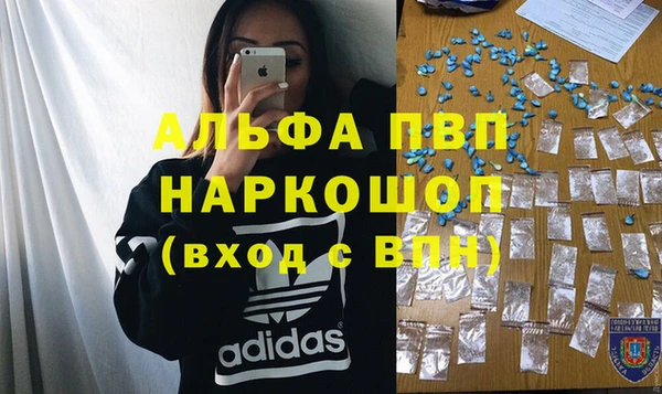 spice Богданович