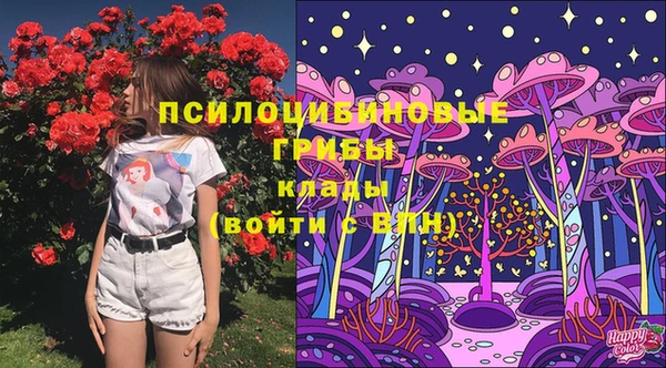 прущие крисы Бородино