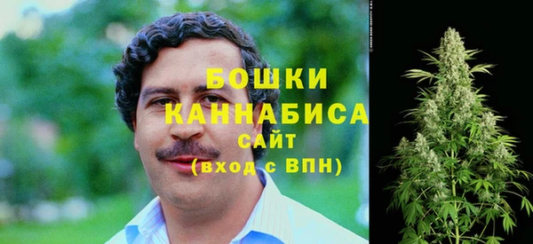 прущие крисы Бородино