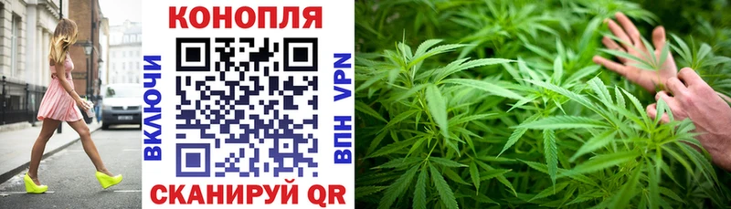 Бошки марихуана AK-47  Купить  Южа 